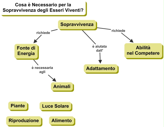 Mappe Scienze Argomenti Generali Di Scienze Ed Esseri Viventi Libro Di Scuola