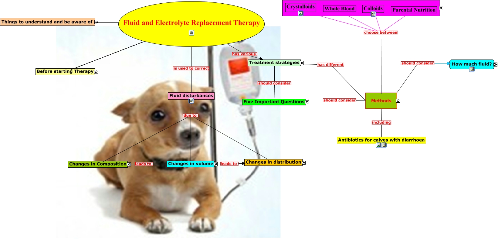Fluid and electrolyte replacement therapy