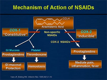 Non steroidal anti inflammatory drugs alternatives