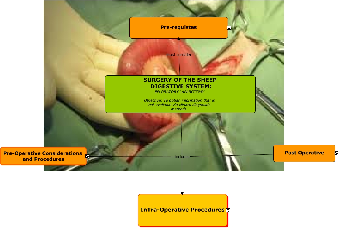 exploratory laporatomy