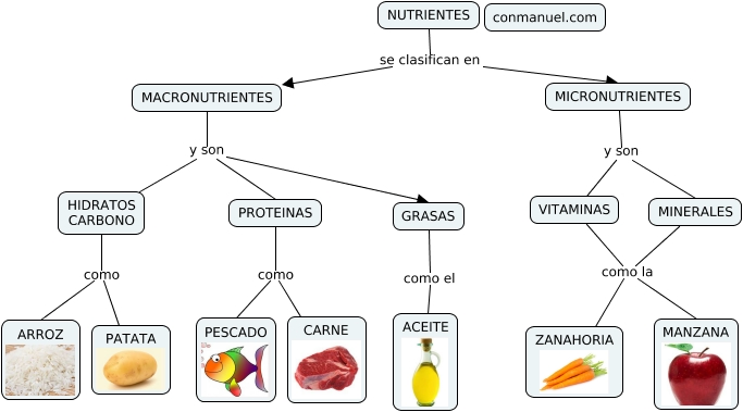 4 Nutrientes