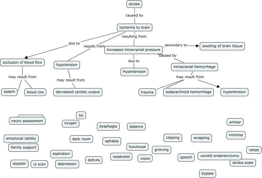 Concept Map For Hemorrhagic Stroke - United States Map