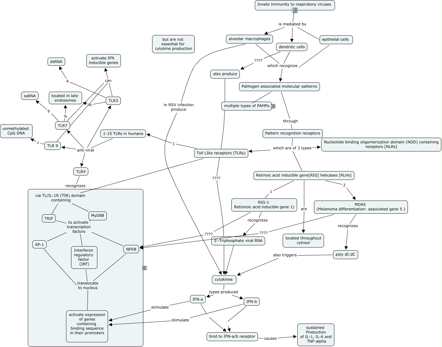 Regulation Of Gene Expression Concept Map