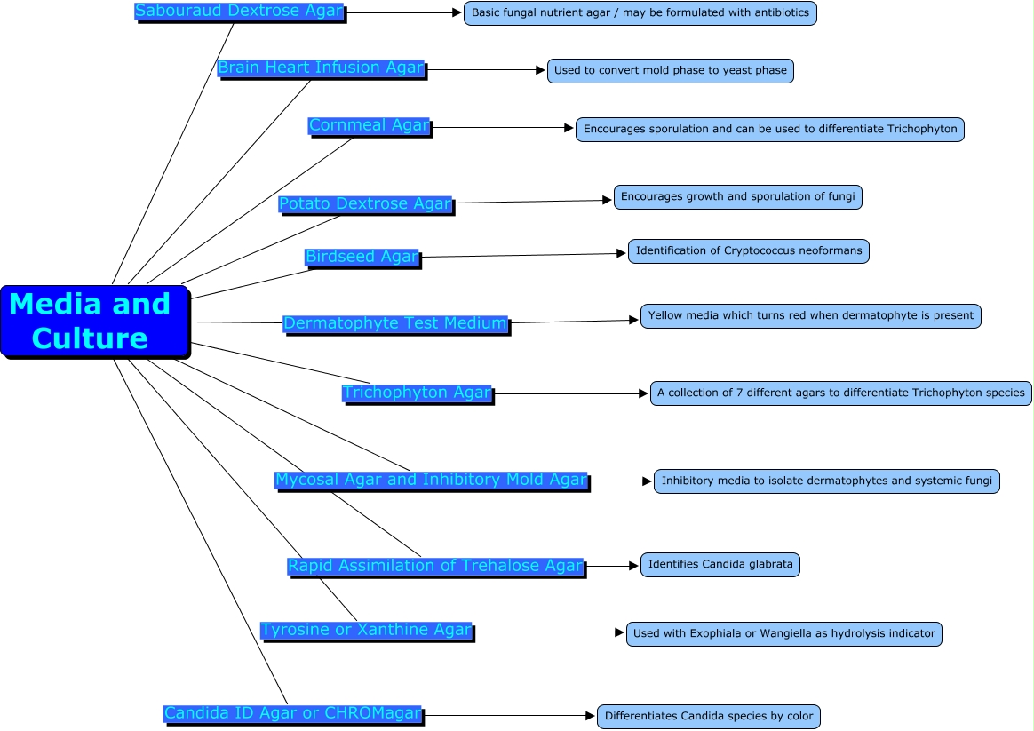 Culture Media Concept Map Media and Culture