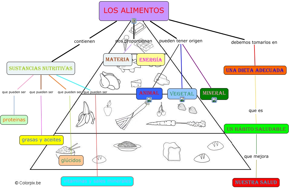 Los alimentos - los alimentos