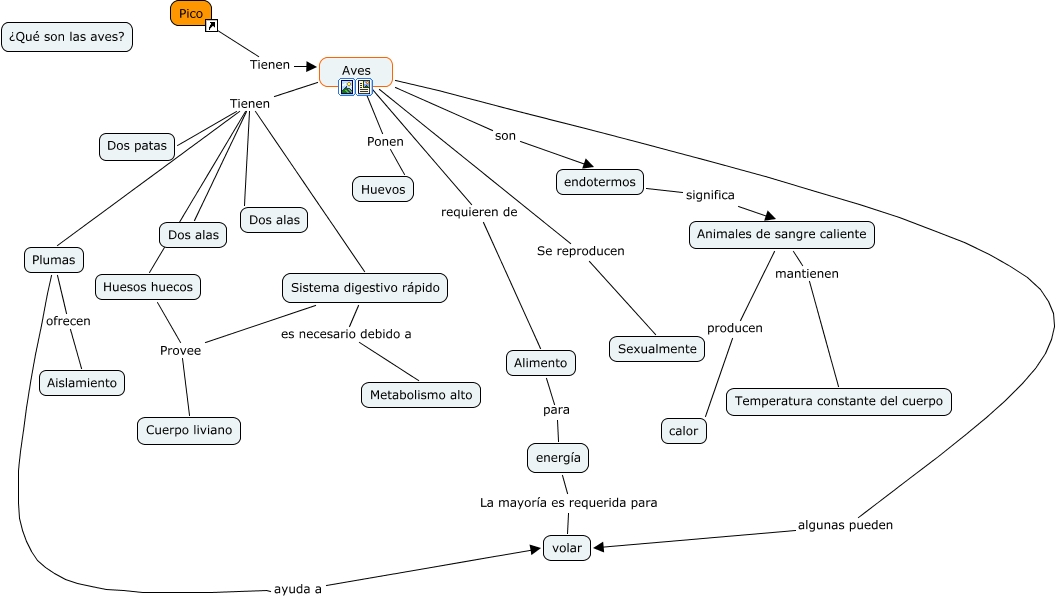 Mapa Conceptual Aves - ¿Qué son las aves?